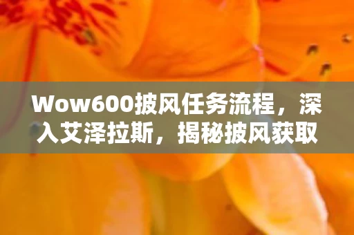 Wow600披风任务流程图片