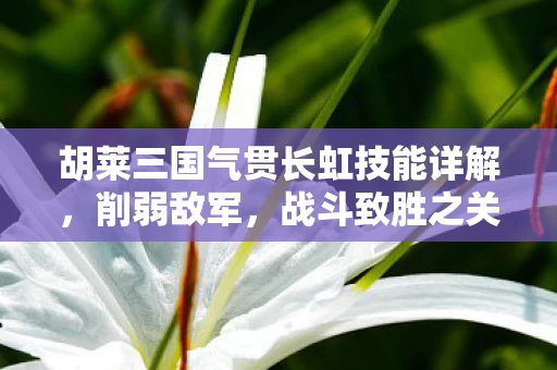 胡莱三国气贯长虹技能详解图片