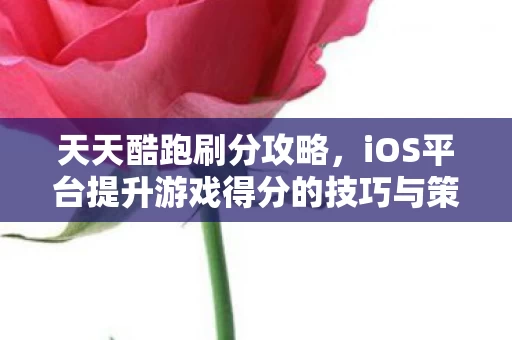 iOS平台提升游戏得分的技巧与策略图片