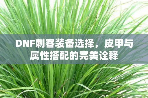 皮甲与属性搭配的完美诠释图片