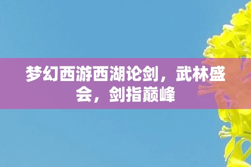 梦幻西游西湖论剑图片