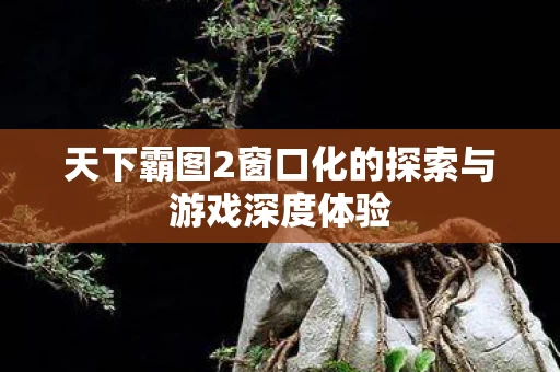 天下霸图2窗口化的探索与游戏深度体验图片