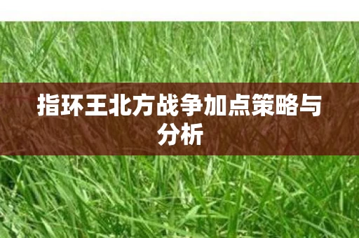 指环王北方战争加点策略与分析图片