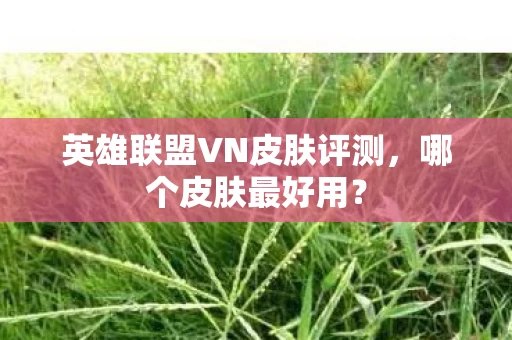 英雄联盟VN皮肤评测图片