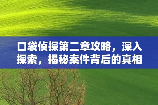 口袋侦探第二章攻略图片