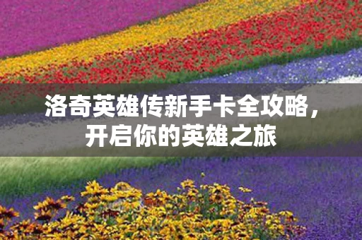 洛奇英雄传新手卡全攻略图片