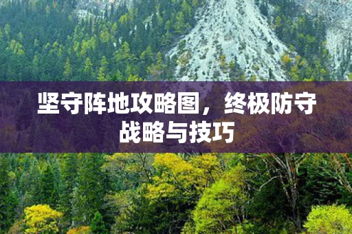 终极防守战略与技巧图片