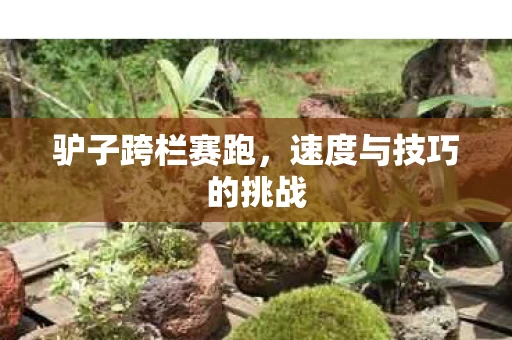 速度与技巧的挑战图片