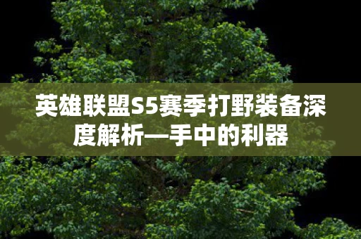 英雄联盟S5赛季打野装备深度解析图片