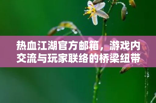 游戏内交流与玩家联络的桥梁纽带图片