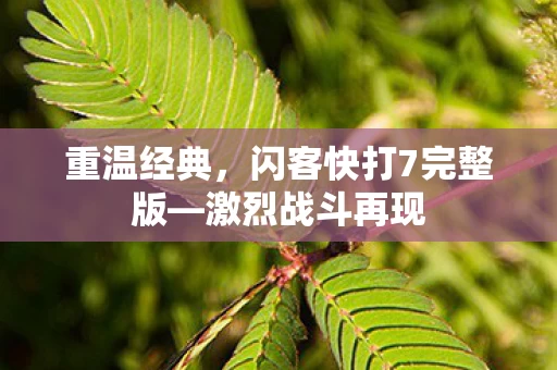 闪客快打7完整版图片