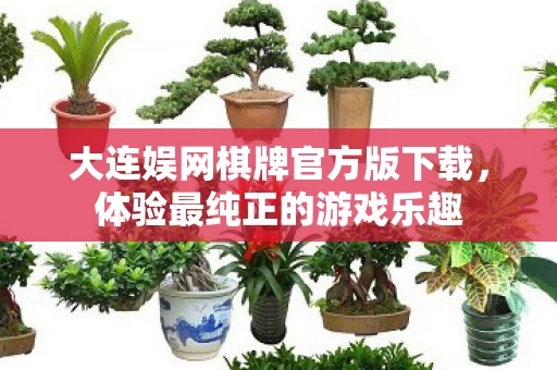 大连娱网棋牌官方版下载图片