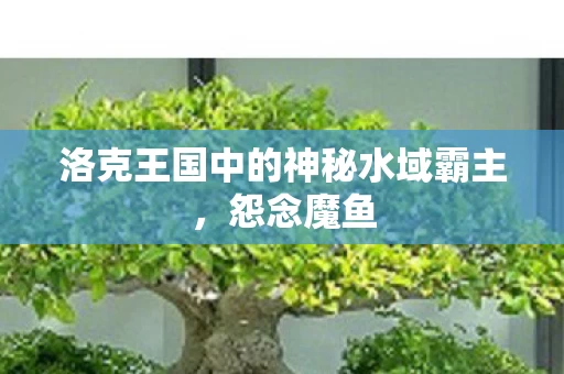 洛克王国中的神秘水域霸主图片