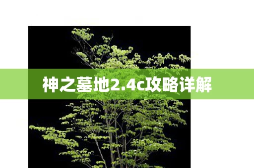 4c攻略详解图片