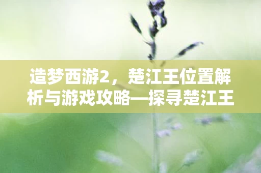 楚江王位置解析与游戏攻略图片