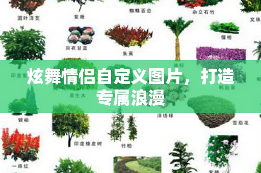 炫舞情侣自定义图片图片