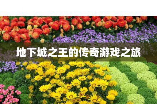 地下城之王的传奇游戏之旅图片