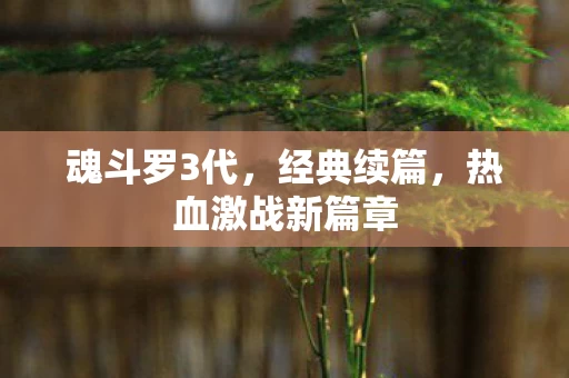 热血激战新篇章图片