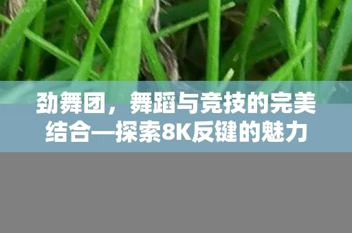 舞蹈与竞技的完美结合图片