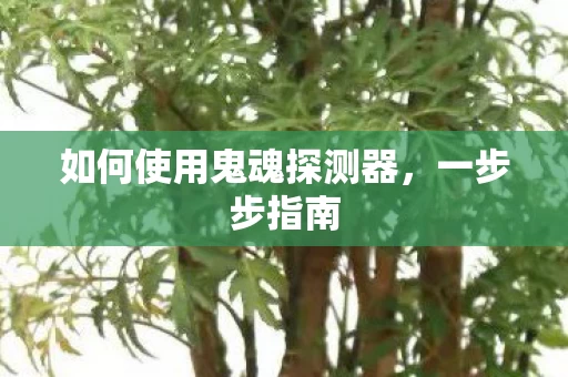 如何使用鬼魂探测器图片