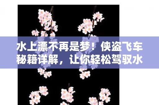 侠盗飞车秘籍详解图片