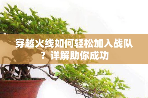 穿越火线如何轻松加入战队图片