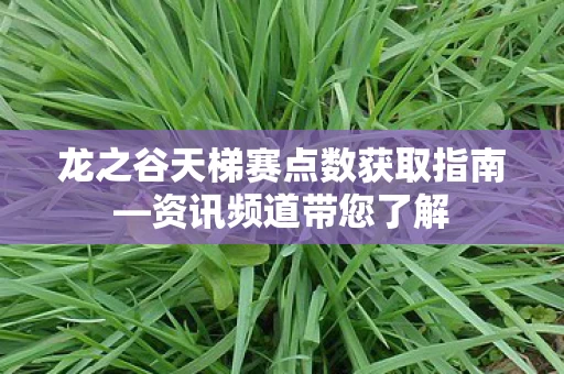 龙之谷天梯赛点数获取指南图片