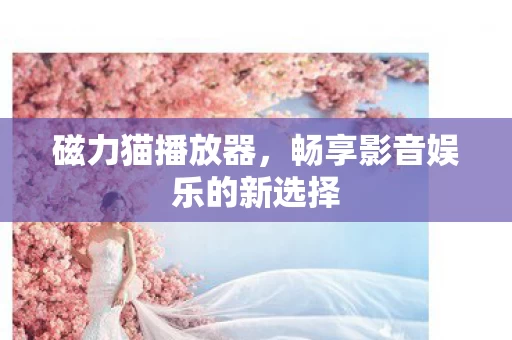 畅享影音娱乐的新选择图片