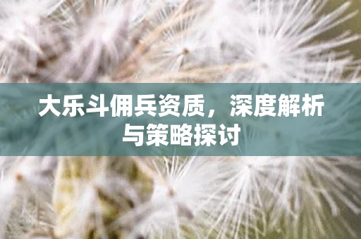 深度解析与策略探讨图片