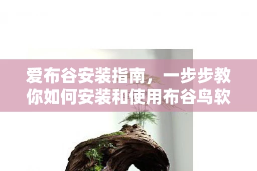 一步步教你如何安装和使用布谷鸟软件图片