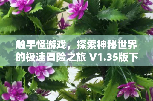 探索神秘世界的极速冒险之旅 V1图片