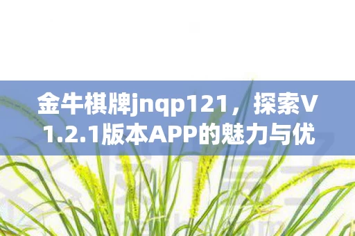 1版本APP的魅力与优势图片