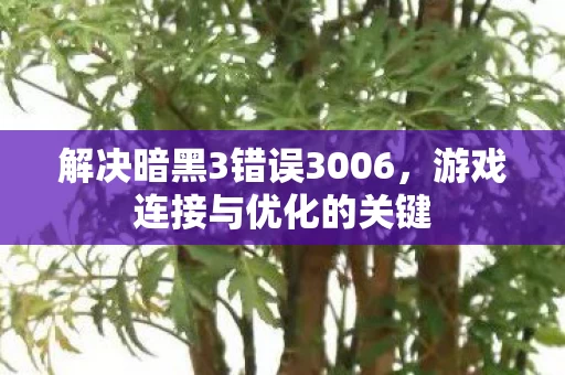 解决暗黑3错误3006图片