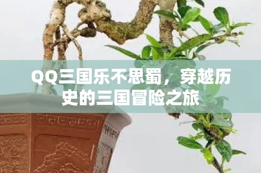 穿越历史的三国冒险之旅图片