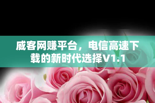 电信高速下载的新时代选择V1图片