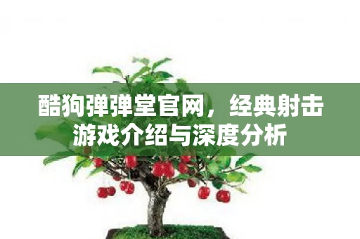 经典射击游戏介绍与深度分析图片