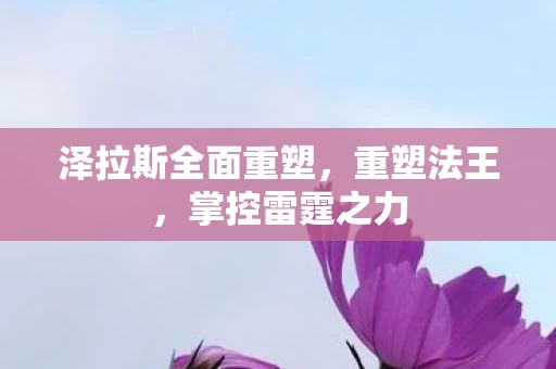 泽拉斯全面重塑，重塑法王，掌控雷霆之力