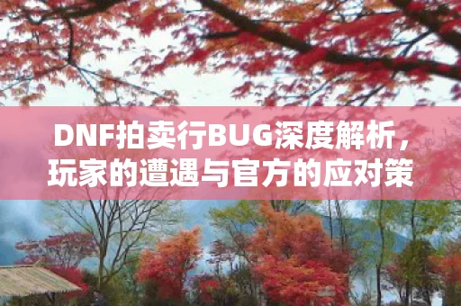 DNF拍卖行BUG深度解析图片