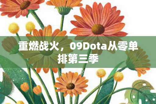 09Dota从零单排第三季图片