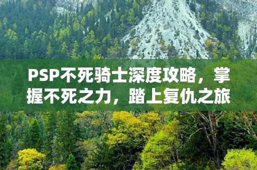 PSP不死骑士深度攻略图片