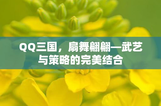 武艺与策略的完美结合图片
