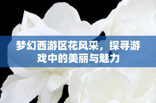 探寻游戏中的美丽与魅力图片