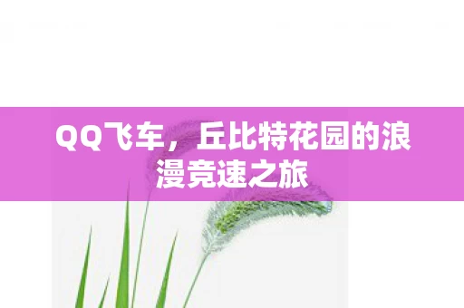 丘比特花园的浪漫竞速之旅图片