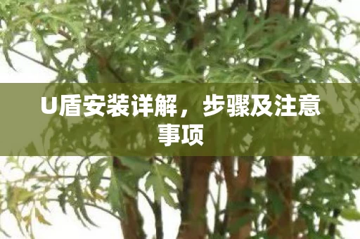 步骤及注意事项图片