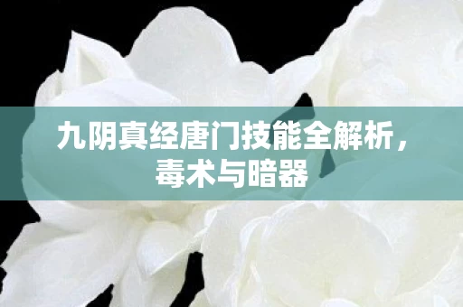 九阴真经唐门技能全解析图片