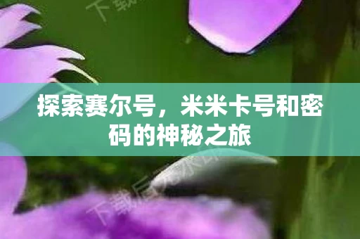 米米卡号和密码的神秘之旅图片