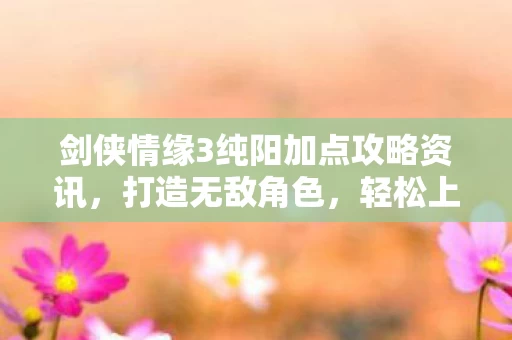 剑侠情缘3纯阳加点攻略资讯图片