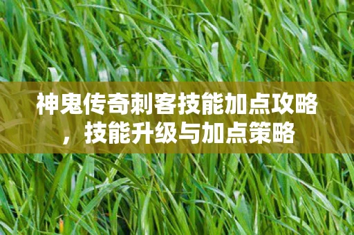 神鬼传奇刺客技能加点攻略图片
