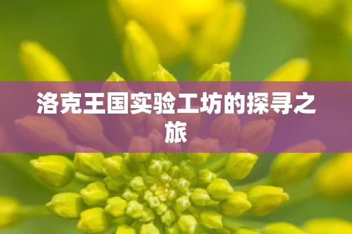洛克王国实验工坊的探寻之旅图片