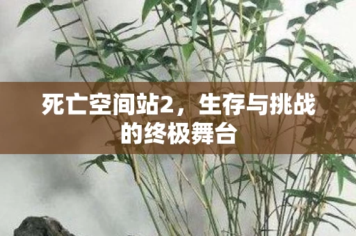 生存与挑战的终极舞台图片